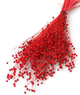 Kuru Çiçek Luna Otu Kırmızı - 2