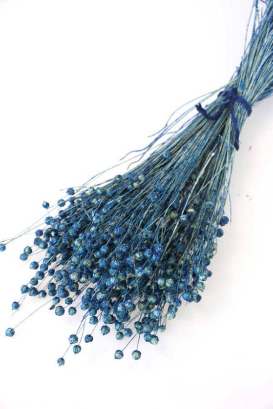 Kuru Çiçek Luna Otu Mavi - 1