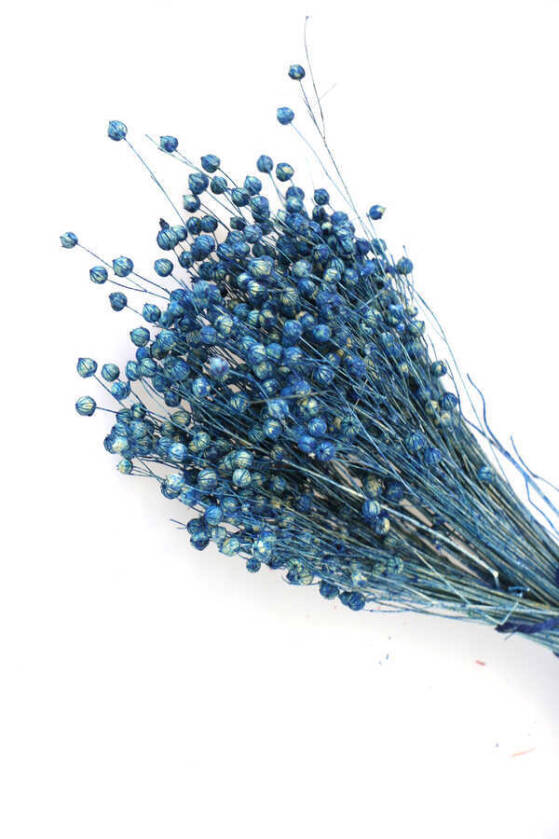 Kuru Çiçek Luna Otu Mavi - 2