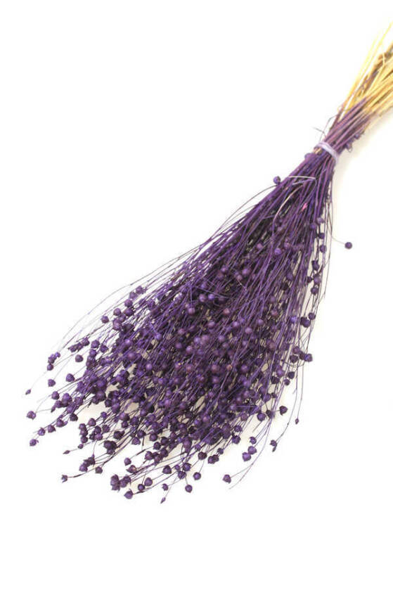 Kuru Çiçek Luna Otu Mor - 1