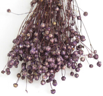 Kuru Çiçek Luna Otu Mor - 2