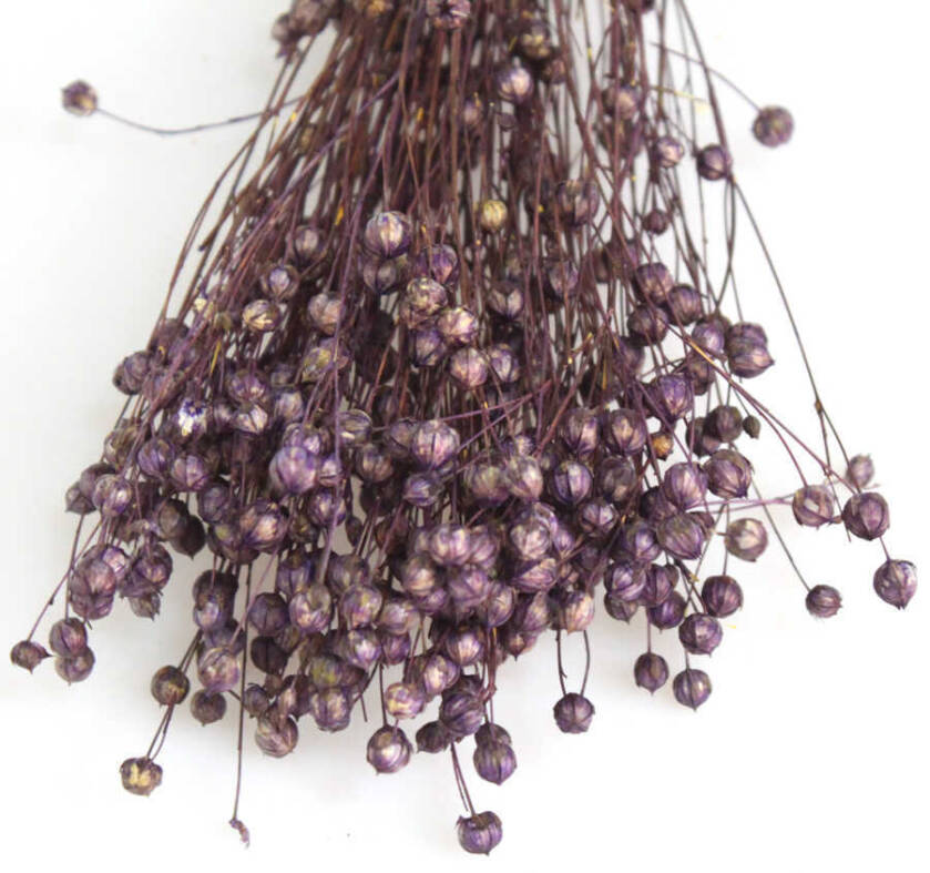 Kuru Çiçek Luna Otu Mor - 2