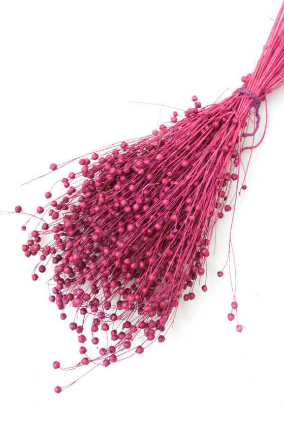 Kuru Çiçek Luna Otu Mürdüm - 1