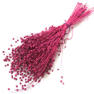 Kuru Çiçek Luna Otu Mürdüm - 2