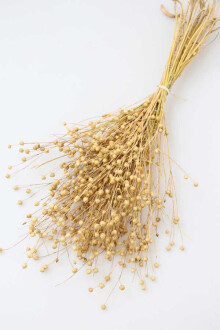 Kuru Çiçek Luna Otu Naturel - Yapay Çiçek Sitesi