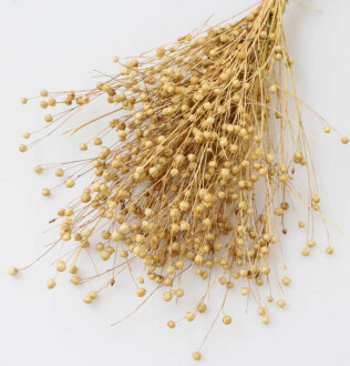 Kuru Çiçek Luna Otu Naturel - 2