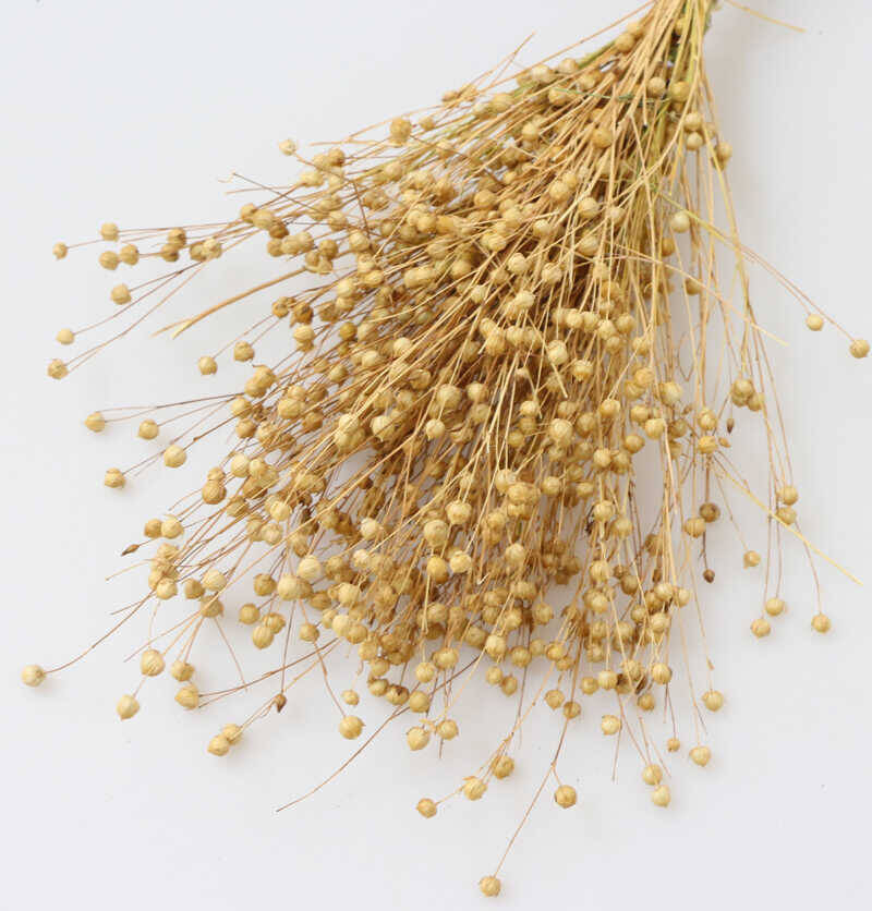 Kuru Çiçek Luna Otu Naturel - 2