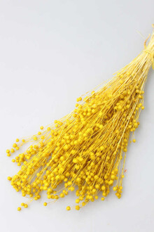 Kuru Çiçek Luna Otu Sarı - Yapay Çiçek Sitesi