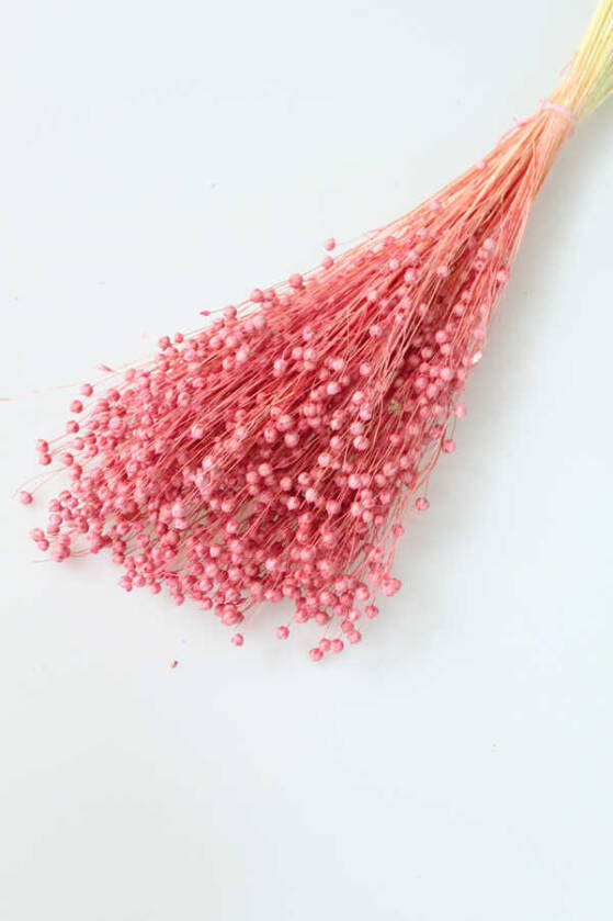 Kuru Çiçek Luna Otu Somon - 1