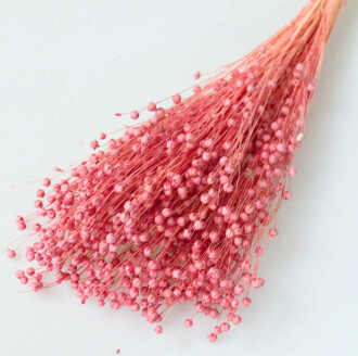 Kuru Çiçek Luna Otu Somon - 2