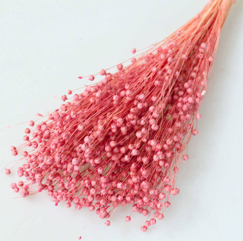 Kuru Çiçek Luna Otu Somon - 2