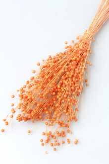 Kuru Çiçek Luna Otu Turuncu - Yapay Çiçek Sitesi