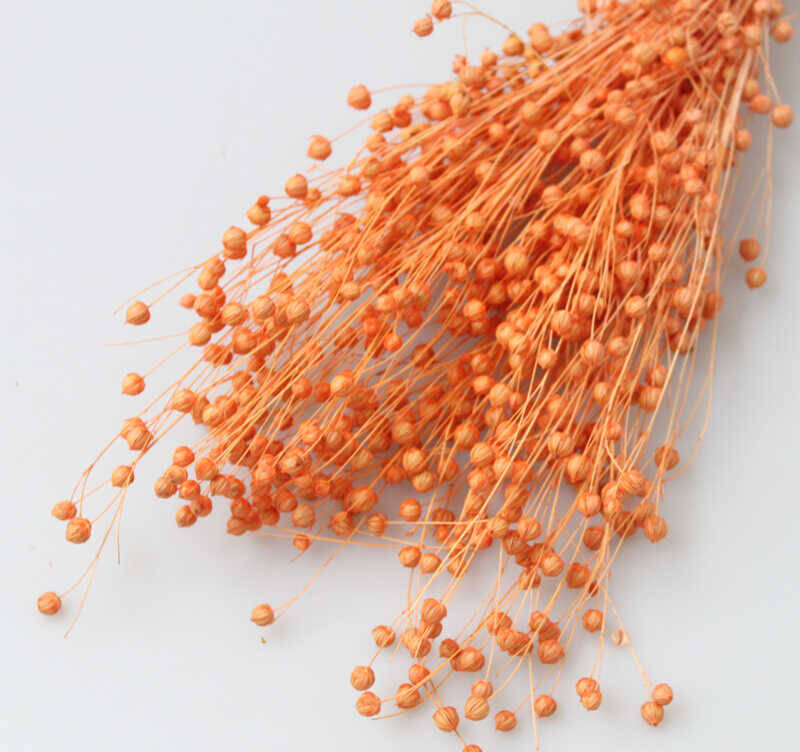 Kuru Çiçek Luna Otu Turuncu - 2