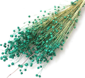 Kuru Çiçek Luna Otu Yeşil - 2