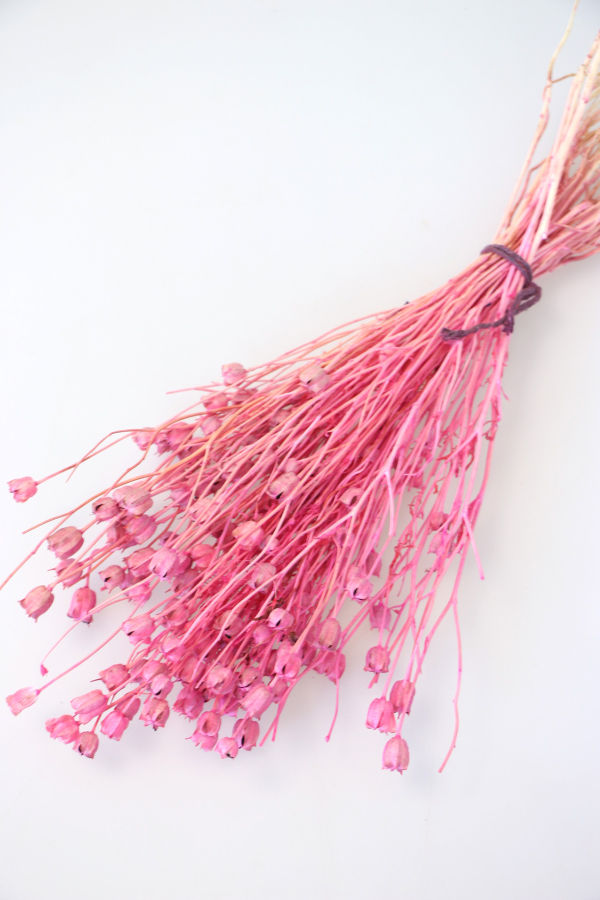 Kuru Çiçek Nigella Bitkisi Demeti Açık Pembe - 1