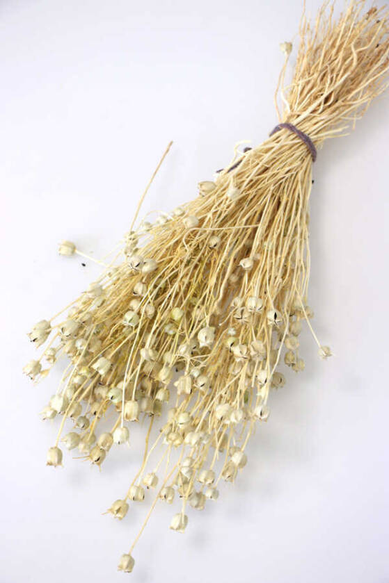 Kuru Çiçek Nigella Bitkisi Demeti Naturel - 1