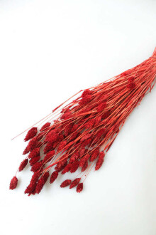 Kuru Çiçek Palaris Kuş Otu Bordo - Yapay Çiçek Sitesi