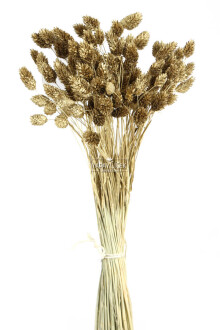 Kuru Çiçek Palaris Kuş Otu Gold - Yapay Çiçek Sitesi