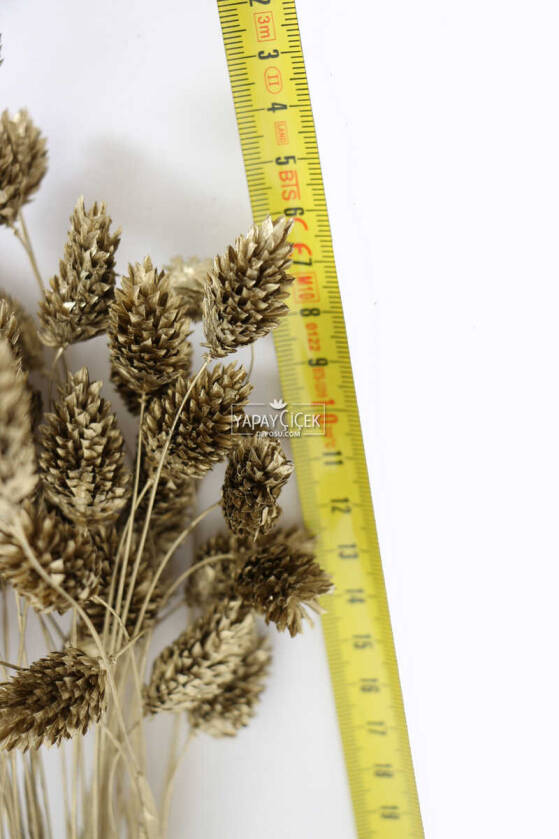 Kuru Çiçek Palaris Kuş Otu Gold - 2