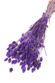 Kuru Çiçek Palaris Kuş Otu Koyu Mor - Yapay Çiçek Sitesi