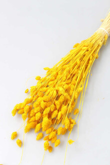 Kuru Çiçek Palaris Kuş Otu Sarı - Yapay Çiçek Sitesi