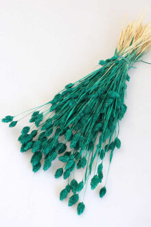 Kuru Çiçek Palaris Kuş Otu Zümrüt Yeşili - Yapay Çiçek Sitesi