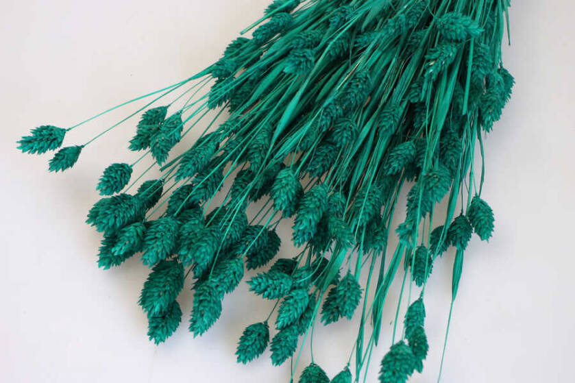 Kuru Çiçek Palaris Kuş Otu Zümrüt Yeşili - 2