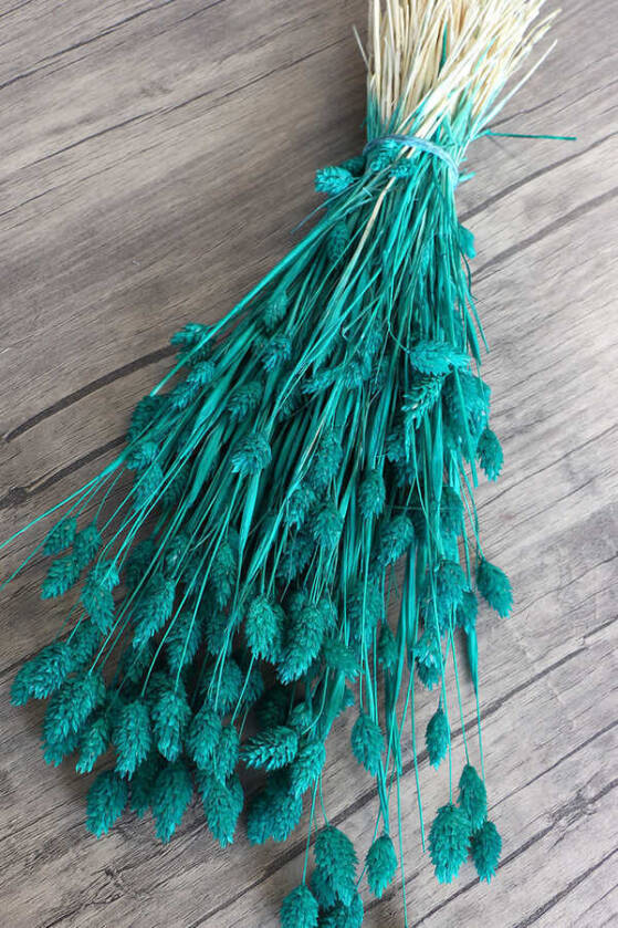 Kuru Çiçek Palaris Kuş Otu Zümrüt Yeşili - 3