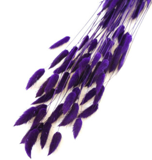 Kuru Çiçek Pamuk Otu 60 cm(ithal) Koyu Mor - 2