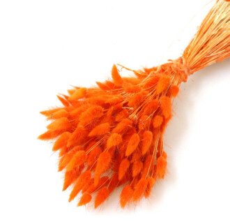 Kuru Çiçek Pamuk Otu (Yerli) Turuncu - 2