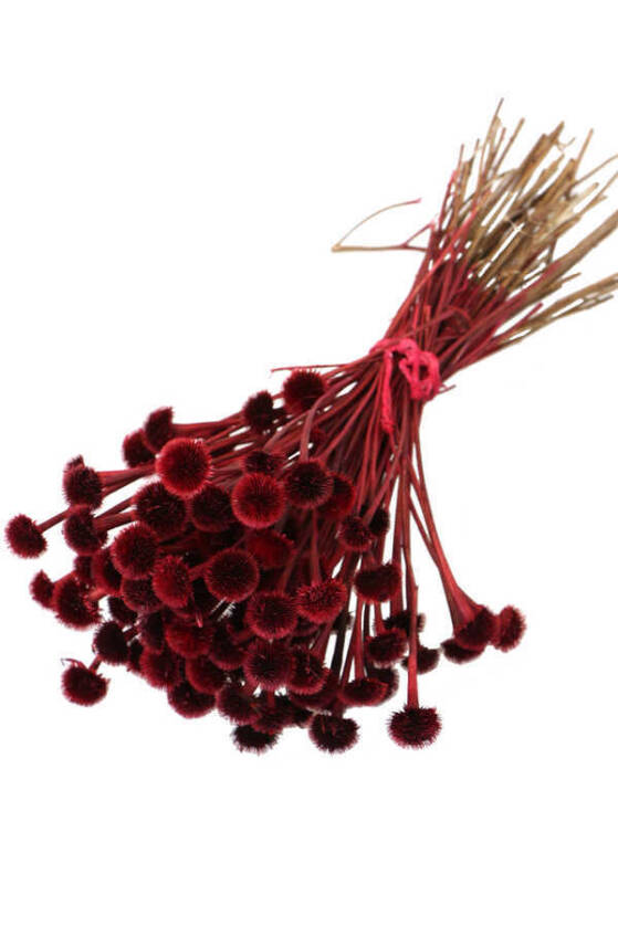 Kuru Çiçek Papatya Otu Demeti Kırmızı - 1