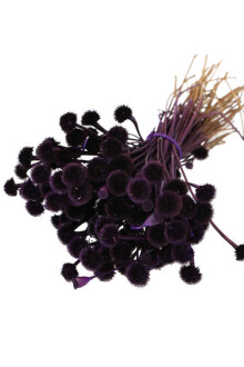 Kuru Çiçek Papatya Otu Demeti Mor - Yapay Çiçek Sitesi