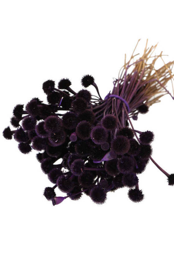 Kuru Çiçek Papatya Otu Demeti Mor - 1