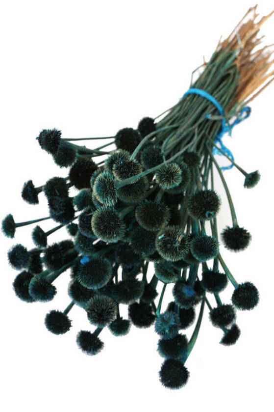 Kuru Çiçek Papatya Otu Demeti Petrol Yeşili - 1