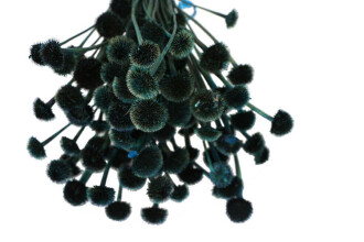 Kuru Çiçek Papatya Otu Demeti Petrol Yeşili - 2