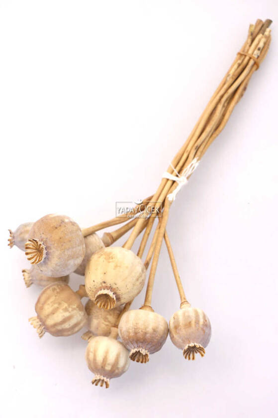 Kuru Çiçek Papaver Otu Naturel - 3