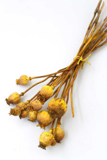 Kuru Çiçek Papaver Otu Sarı - Yapay Çiçek Sitesi