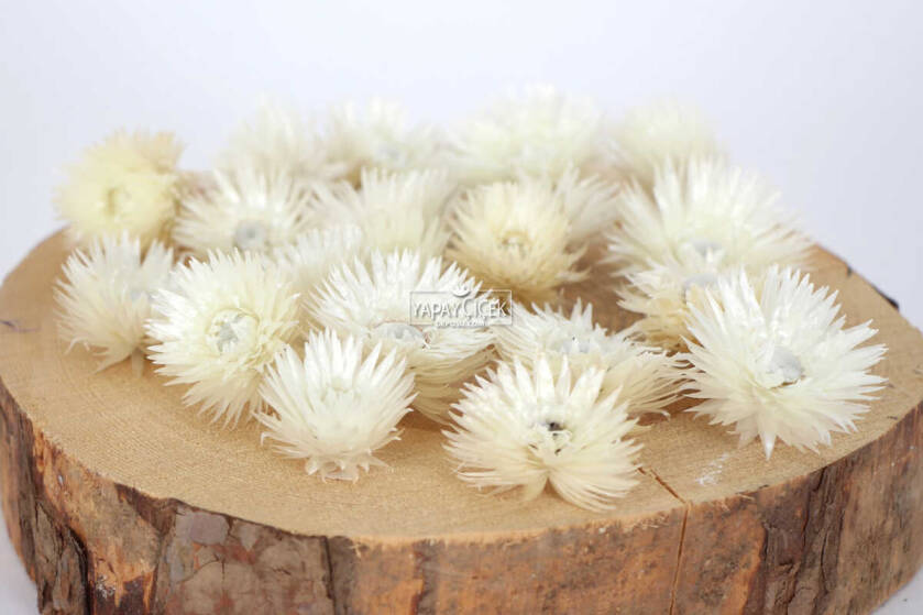 Kuru Çiçek Şoklanmış Yıldızcık Çiçeği Beyaz 20 Adet Tek Kafa - 3