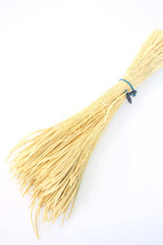 Kuru Çiçek Solucan Otu Krem - 1