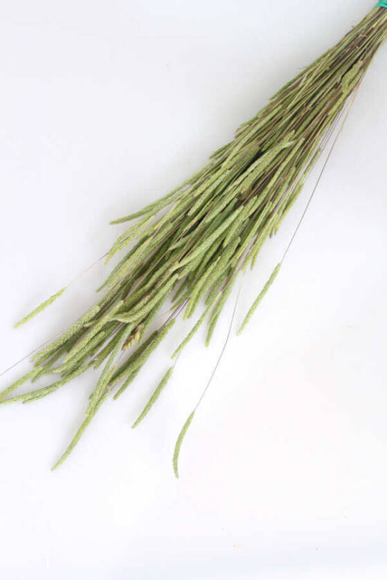 Kuru Çiçek Solucan Otu Naturel - 1