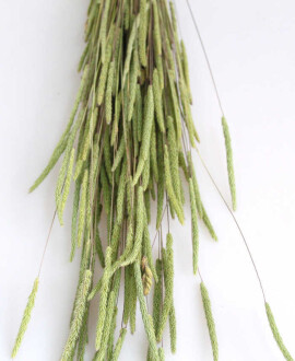 Kuru Çiçek Solucan Otu Naturel - 2