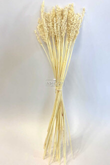 Kuru Çiçek Sorghum Otu 55 cm Krem - 4