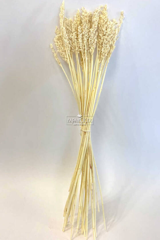 Kuru Çiçek Sorghum Otu 55 cm Krem - 4