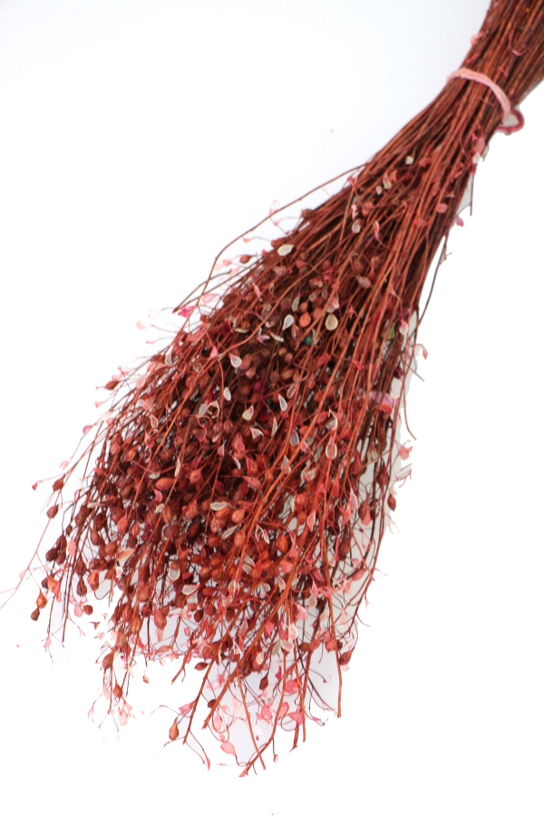 Kuru Çiçek Tomurcuk Otu Demeti 45 cm Bordo - 1