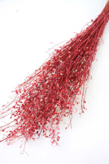 Kuru Çiçek Tomurcuk Otu Demeti 45 cm Kırmızı - Yapay Çiçek Sitesi