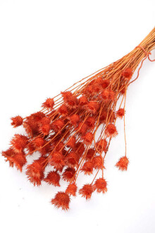 Kuru Çiçek Tüllüşah Otu Demeti Alev Turuncu - Yapay Çiçek Sitesi