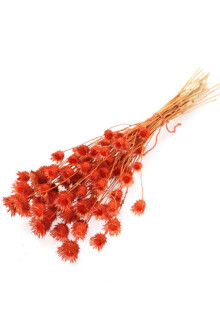 Kuru Çiçek Tüllüşah Otu Demeti Alev Turuncu - 2