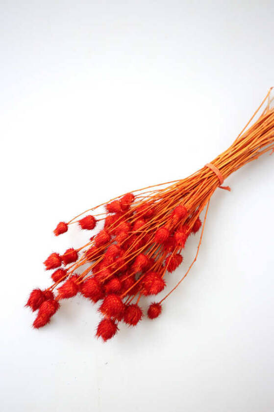 Kuru Çiçek Tüllüşah Otu Demeti Turuncu - 1