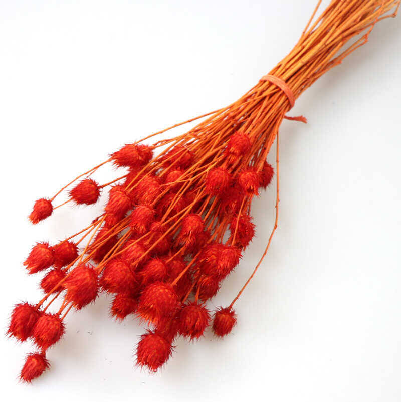 Kuru Çiçek Tüllüşah Otu Demeti Turuncu - 2