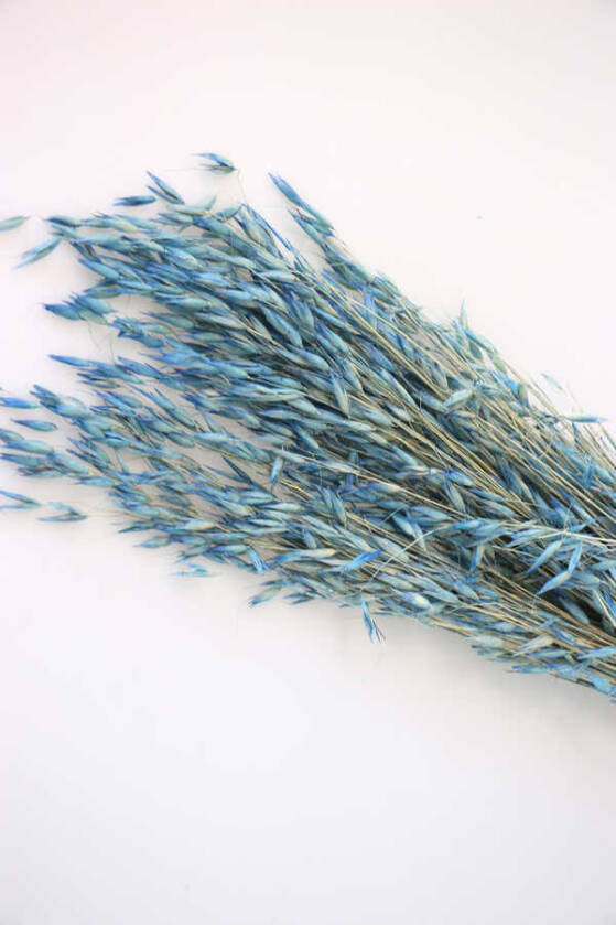 Kuru Çiçek Yulaf Otu Demeti 50 cm Açık Mavi - 2